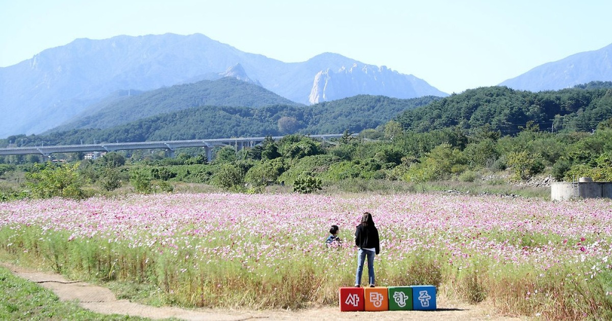 내일 날씨