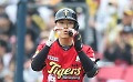 기사 썸네일