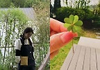 ‘현빈♥’ 손예진, \'청순미\' 뽐내며..예쁜 네잎클로버 발견 “인생 첫 행운”