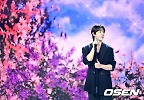 정대현, 감미로운 무대 