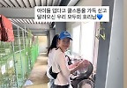 이효리, 폭염 속 유기견 보호소로..\