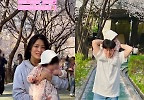 곽정욱♥박세영, 딸과 첫 벚꽃 나들이 \