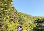 \'임신\' 이다해, ♥세븐과 꼭 껴안고 캠핑 데이트…\