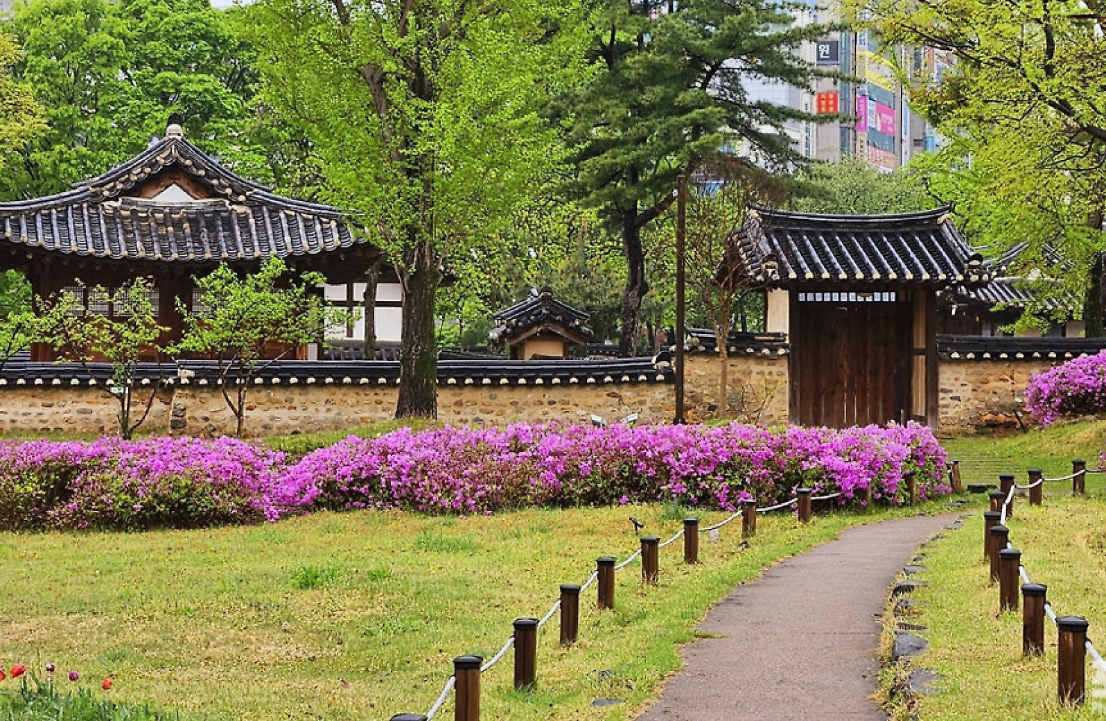 [포토친구] 동춘당공원의 봄