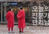 잘된집에 새끼 치는 스핀오프 예능 전성시대