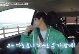 제주도 여행 권장하는 예능, 문제 없나요? 