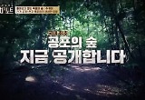 '다빈치노트' 일본 죽음의 숲 주카이, 시신 1177구 발견된 이유? '소름' 