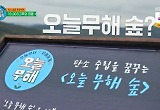 '오늘 무해' 산불 현장에 10003그루 숲 조성, 공효진 선한 영향력 