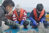 '라끼돌' 트레저 최현석X박지훈, 꽃게잡이 떠난다..'뜻밖의 위기'