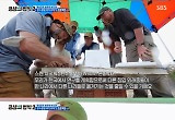 '공생의 법칙' 김병만·배정남·박군, 말벌 소탕→상괭이 사체에 침통  