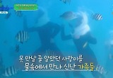 추성훈→이종혁 가족, 제주도 바닷속 씨워킹·프리다이빙 도전 