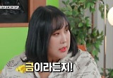 '월수입 2천만원' 풍자, 이 재테크로 대박났다 "19만→40만…길게 봐야 해" 