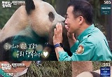 '강바오' 강철원 "푸바오와 내년 꽃 피기 전 이별, 행복한 판생살길" 
