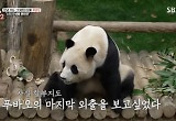 강철원 “푸바오 마지막 출근날 2번 울어, 쌍둥이 덕 슬픔 반감” 