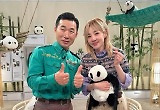 "행복한 판생 응원해" 中 떠난 푸바오, 눈물로 보낸 ★들