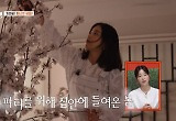 “파티룸 같아, 하녀 10명 있나” 벚나무 들인 기은세 집 공개