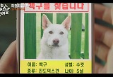 ‘나는 돈가스가 싫어요’ 정상훈 VS 이중옥, ‘백구를 찾는 자가 이장 자리 차지한다’