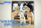 이기우 "아내 덕분에 유기견 봉사하고 입양"