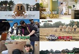 '감자연구소', 스핀오프 예능 '감자세끼'까지 제작한 열정 통할까?