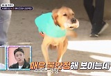 ‘동물의 억울한 죽음 밝힌다’ 동물국과수·수의법의학자