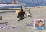 ‘동물은 훌륭하다’ 장도연·데프콘·은지원 “동물들 계속 사랑해주세요” 마지막 인사