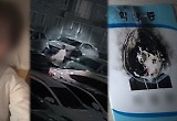 "왜 소녀의 시간을 앗아갔나", 사천 크리스마스 살인 미스터리 