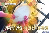 “덮고 자도 되겠다” 어마어마한 대광어 크기에 안정환 충격 
