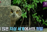 역대급 감동+울림 선사했다는 '수리부엉이' 둘째 이야기 