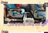 ‘동물농장’ 돌아온 키키→섬개 포비… 최고 6.6%