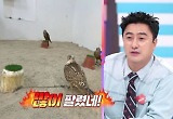 안정환, 월드컵 때 2천만원 짜리 매 살 뻔 “카타르선 매도 비즈니스석 타”