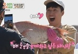 '푹다행' 김종민, 결혼 후 180도 달라졌다…책임감 증명 
