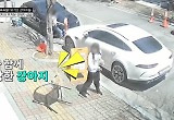 외제차 2대 긁은 개, 수리비 천만 원인데 견주는 나 몰라라 도망 