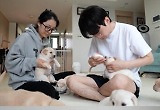 캐나다로 떠난 새끼 리트리버 '바다'…'TV동물농장', 글로벌 입양기 공개