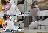 ‘동물농장’ 역사상 넘버2 거대 뚱냥이 등장…14kg 연두의 하루 ‘충격’
