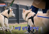 '개호강' 레이, 할머니 레시피로 만찬 대접 "아이브 멤버들에게도 못 해줘"