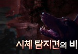 투입됐다 하면 백발백중… '천재 시신 탐지견'에 숨겨진 비밀 