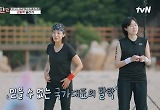  14살 연상남 가격한 설인아, 이정도면 국가대표…"진천선수촌인가" 