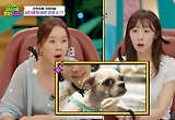 ‘세상에이런일이’ 시즌2 가고 시즌3