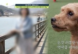 2년 8개월 전 반려견 맡기고 잠적한 견주, 고의 회피 의혹 “미납금 1천만원↑”