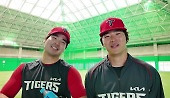 헤드라인 썸네일