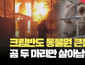 [현장영상] 크림반도 동물원 화재…동물 200여 마리 폐사