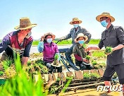 [데일리 북한]내달 전원회의 소집… 당 결정 관철 총력전