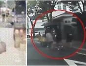 [픽!영상] 주차된 車 문 두드리고 무차별 폭행…빗속 폐지 할머니 도운 중학생들