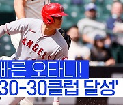 [스포츠타임] '50홈런-37도루 페이스' 오타니, 아프지만 않으면..