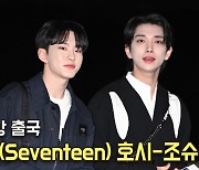 세븐틴(Seventeen) 호시-조슈아,'갓벽한 러블리 투샷' [O! STAR]