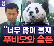 [노컷브이]'눈물 펑펑' 푸바오와 슬픈 이별…할부지 강바오 "너무 많이 울지 말아요"