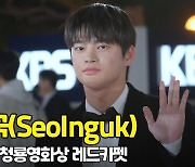 서인국(SeoInguk), '멋짐 가득' (청룡영화상 레드카펫) [O! STAR]