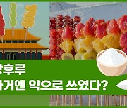 [Why요?] 탕후루 과거엔 약으로 쓰였다?