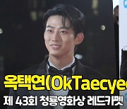 옥택연(OkTaecyeon), '감탄이 나오는 슈트핏' (청룡영화상 레드카펫) [O! STAR]