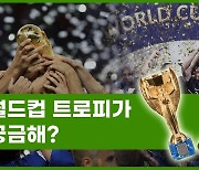 [Why요?] 월드컵 트로피가 궁금해?